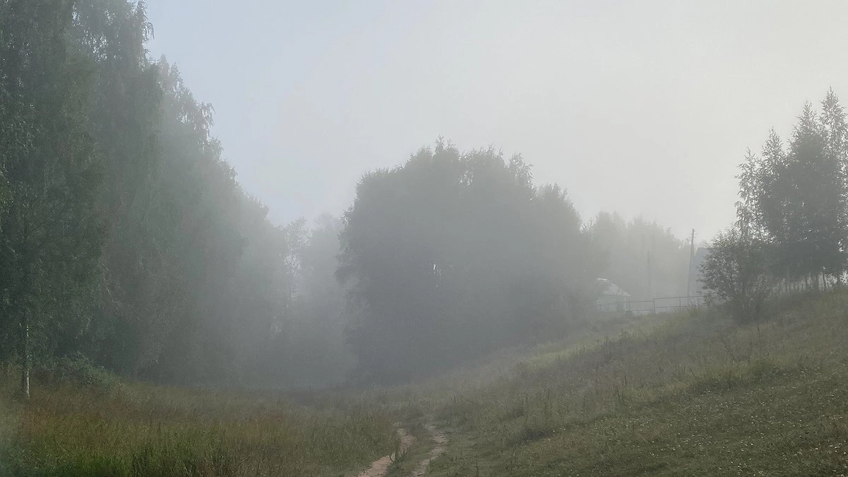 Главная картинка новости: Дожди и похолодание нагрянут в Коми 20 сентября