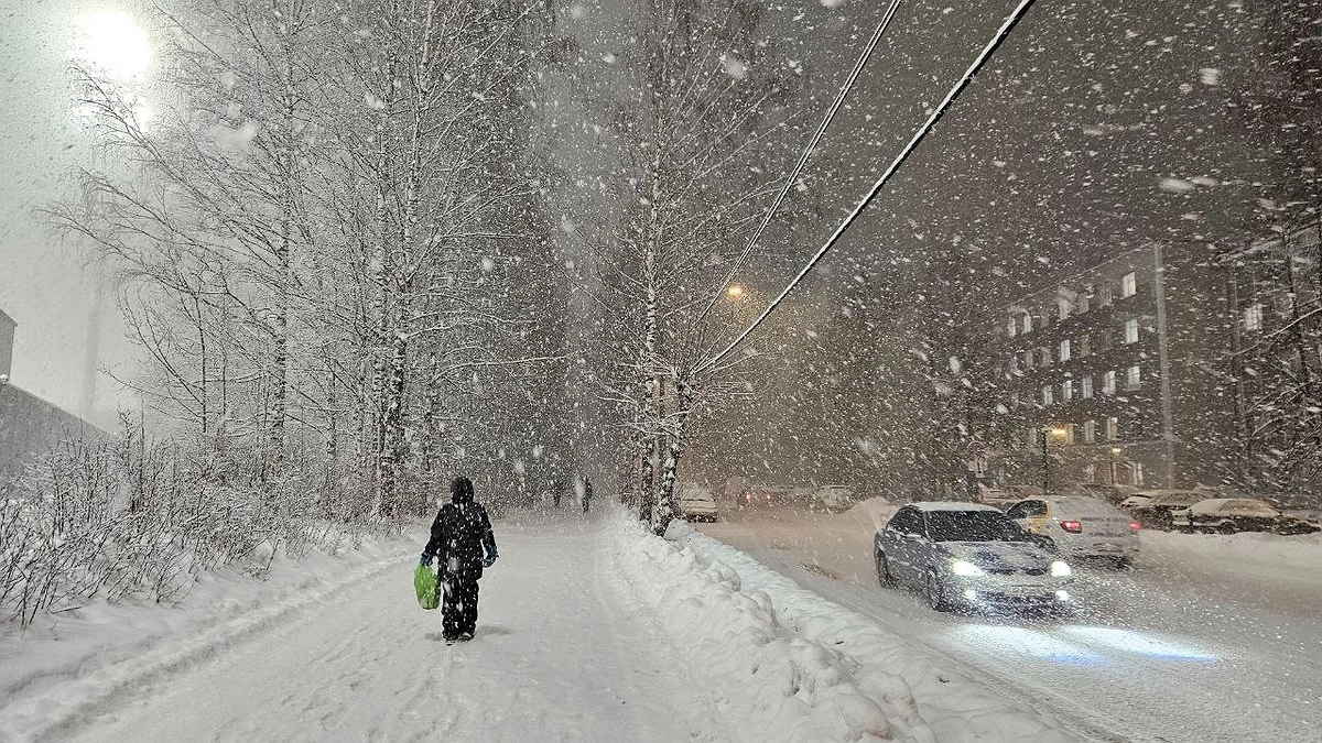 Главная картинка новости: Ляжет мокрый снег: синоптик Роман Вильфанд озвучил неожиданный прогноз погоды на этот сентябрь