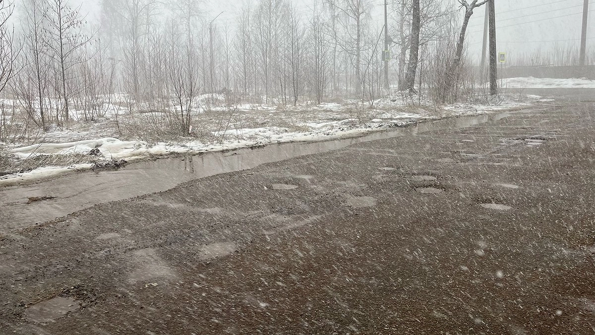 Главная картинка новости: Коми накроют осадки и шквалистый ветер: погода 19 апреля 