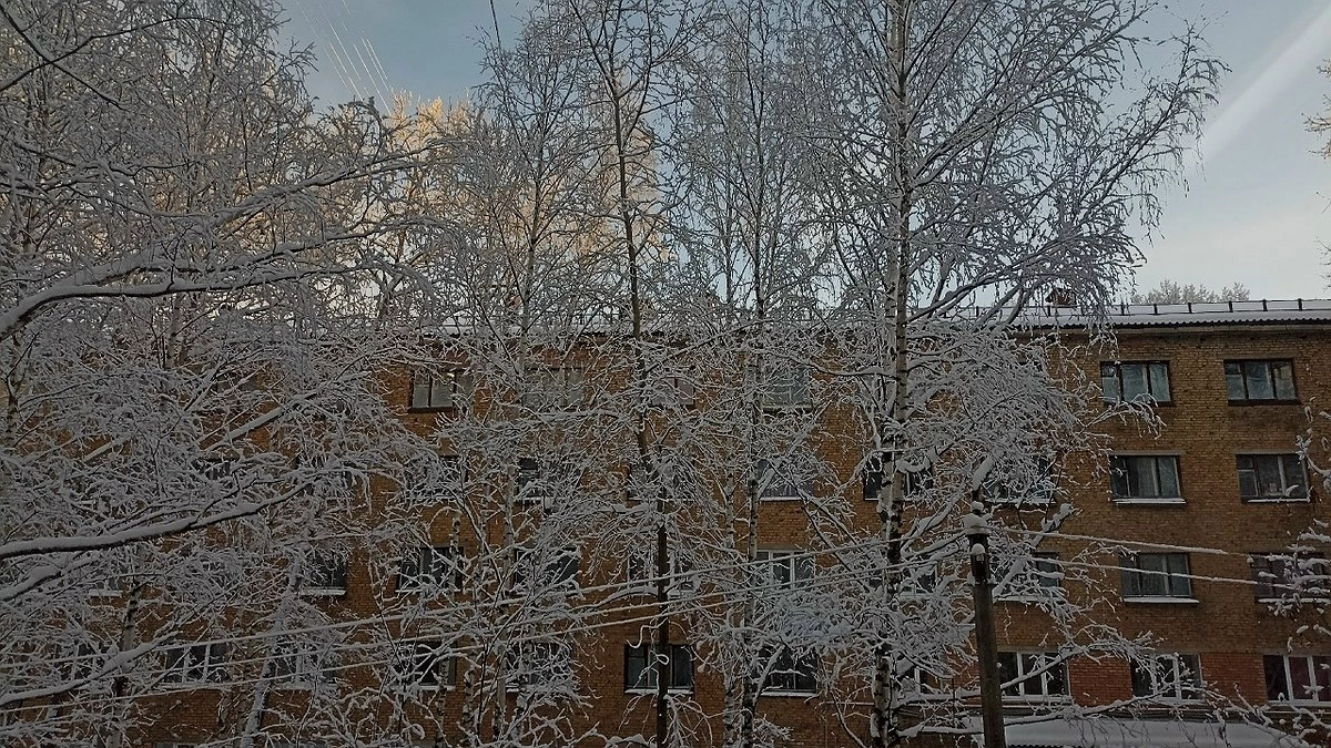 Главная картинка новости: В Усинске напомнили правила введения актированных дней для школьников