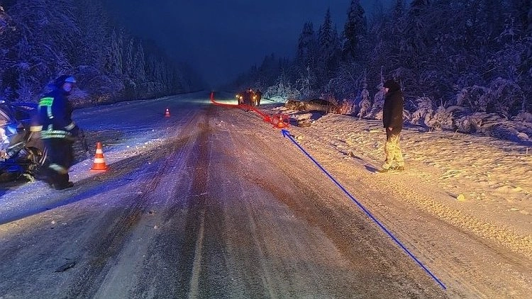 Главная картинка новости: В Коми начинающий водитель получила тяжёлые травмы в лобовом ДТП
