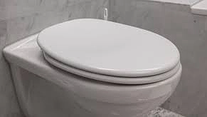 Главная картинка новости: После этого случая всегда опускаю крышку унитаза и вам советую: вот почему нельзя оставлять открытым