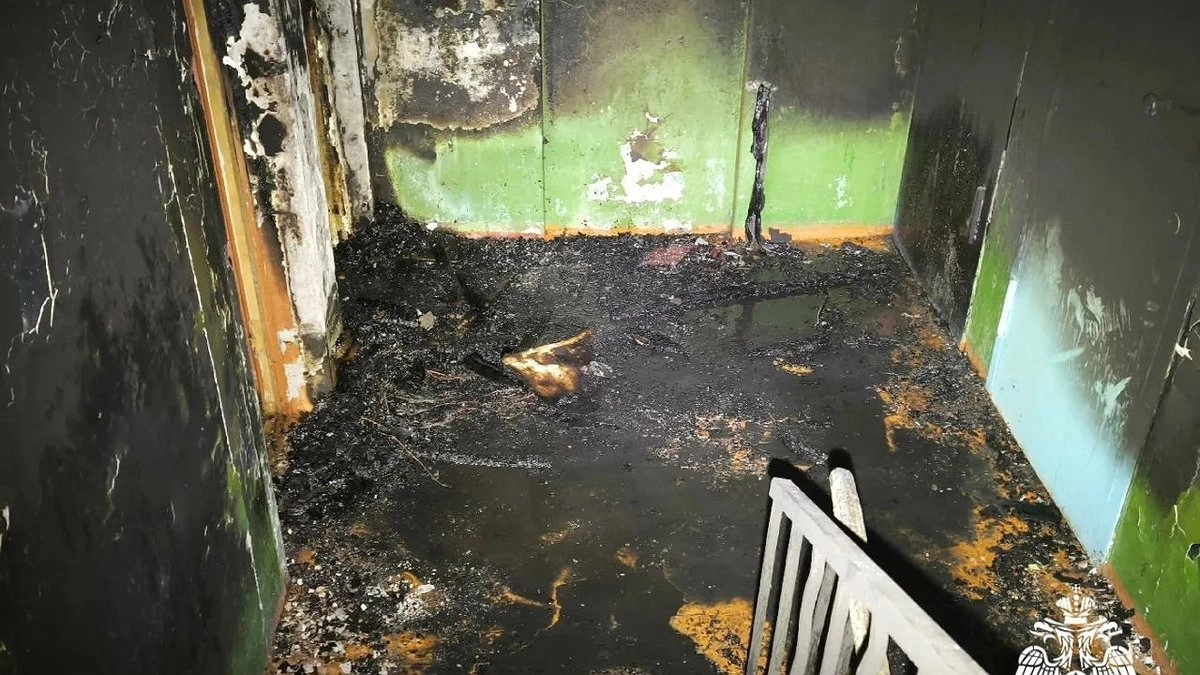 Главная картинка новости: В Коми пожарные спасли 9 человек из горящих домов