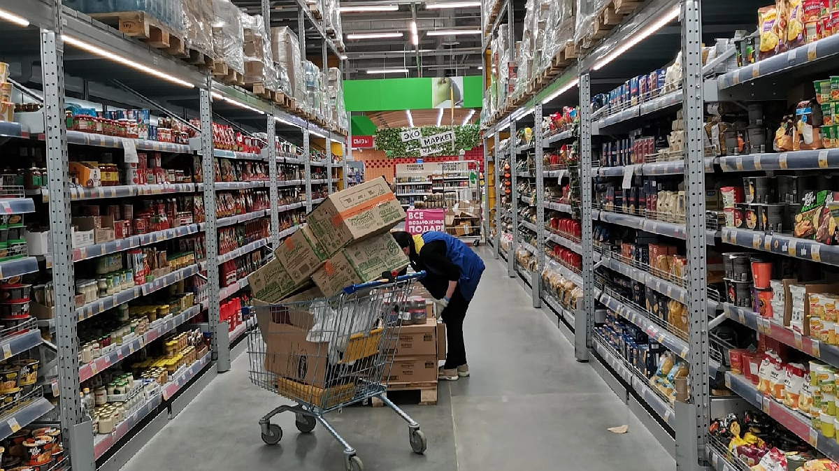 Главная картинка новости: Катастрофа для миллионов: самая распространенная профессия России исчезнет через 5 лет