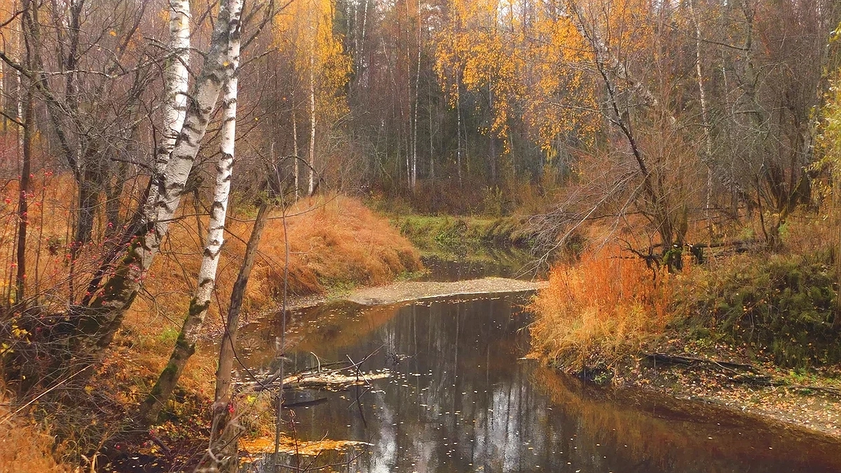 Главная картинка новости: Рекорды недели — плюс 24 и минус 8, чего ждать на этот раз? Прогноз погоды в России 6–12 октября