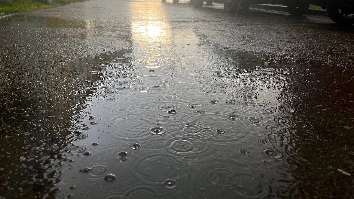 Главная картинка новости: 22 августа в Коми ожидаются дожди разной интенсивности