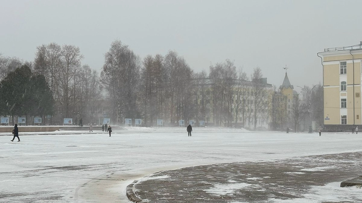 Главная картинка новости: В Коми 4 декабря ожидаются снегопады и усиление ветра