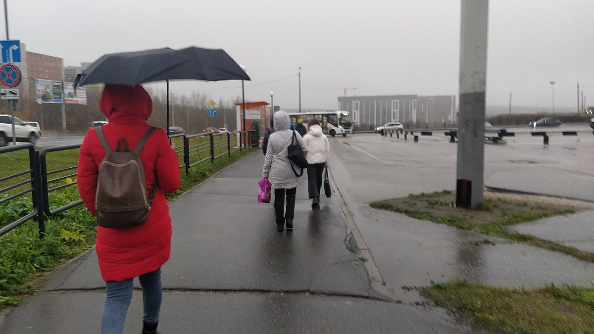 Главная картинка новости: «Июнь, июль и август дадут всем прикурить». Опытные синоптики составили новый прогноз на лето