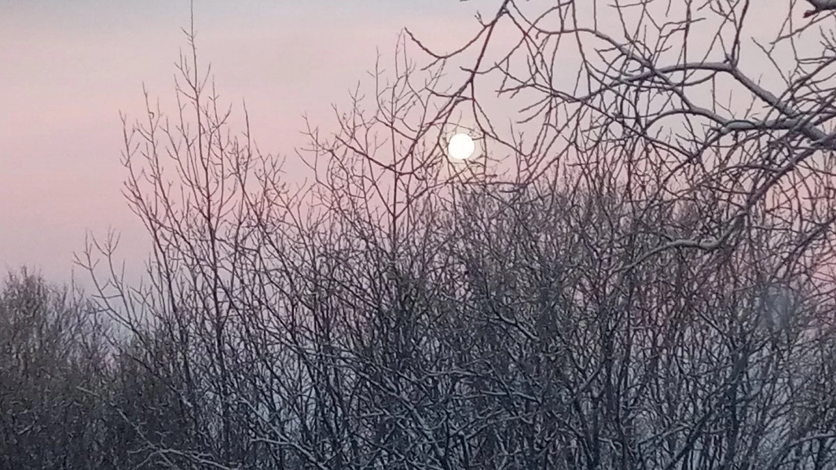 Главная картинка новости: Усинск встречает 26 марта с переменчивой погодой