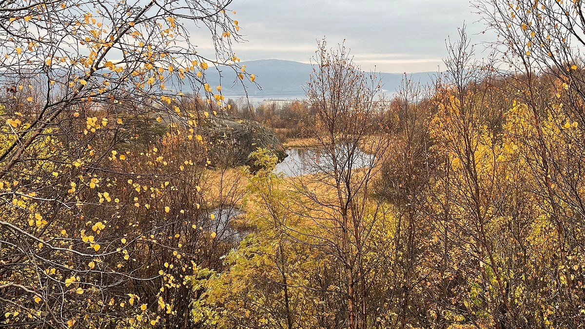 Главная картинка новости: Жителей Коми ждет ощутимое похолодание 18 октября