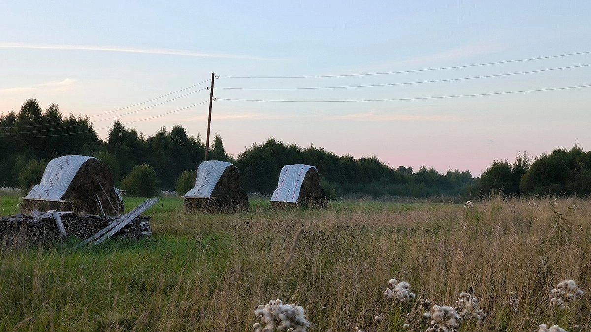 Главная картинка новости: В Коми фермер заплатит 100 тысяч за свалку на поле