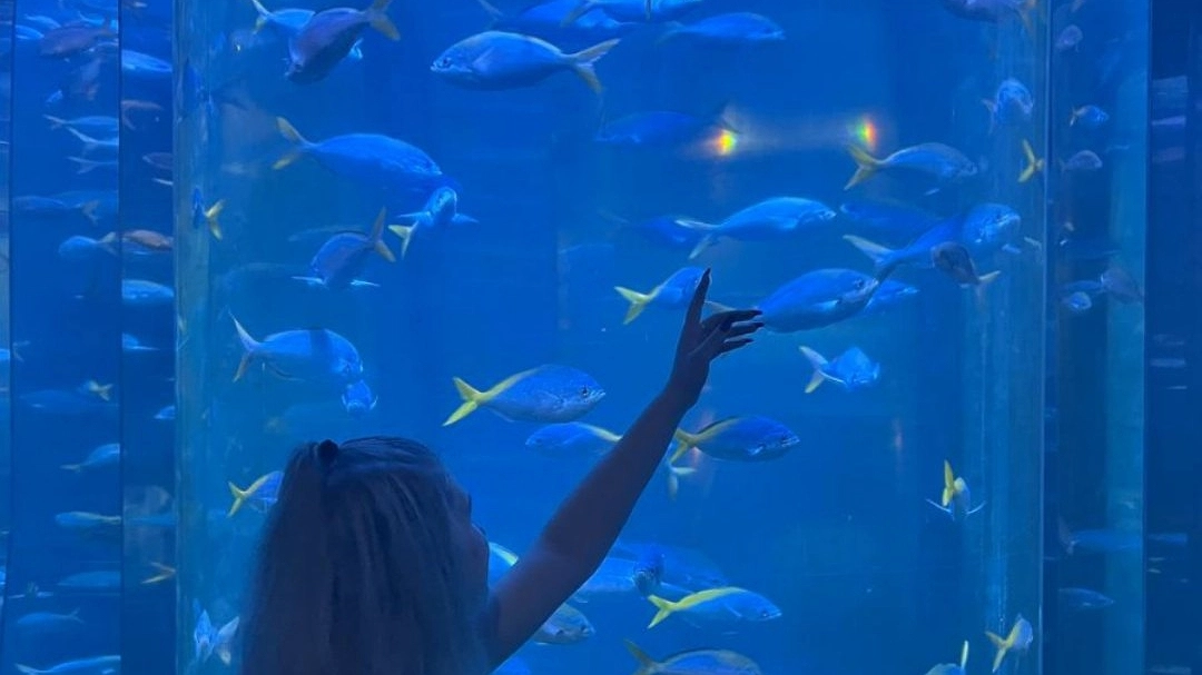 Главная картинка новости: Как живут богатые люди в Абхазии? Побывали в доме у богатого абхазца. Что нам понравилось, а что показалось очень необычным