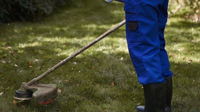 Главная картинка новости: "И зачем так маяться, убери леску с триммера": сосед из деревни подсказал, как легко косить траву и не тратиться на дорогую леску