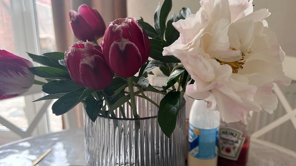 Главная картинка новости: Срочно уберите этот цветок из дома: приносит несчастья и беды вопреки всем приметам