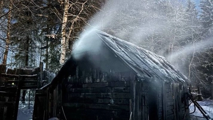 Главная картинка новости: В Коми за сутки ликвидировали серию пожаров в разных районах региона