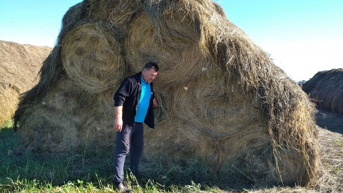 Самое крупное КФК в  ондом из районов Коми наращивает объемы производства