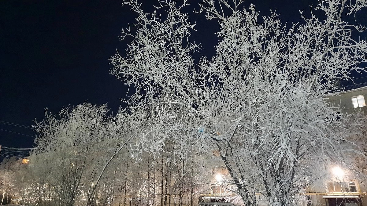 Главная картинка новости: Усинск встречает день ясным небом и крепким морозом
