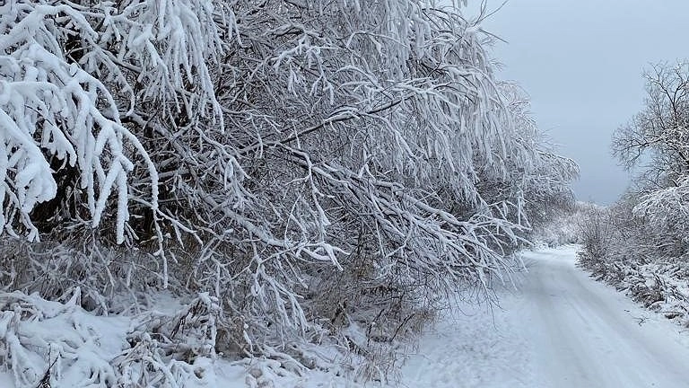 Усинск встречает 17 марта облачностью и легким снегом