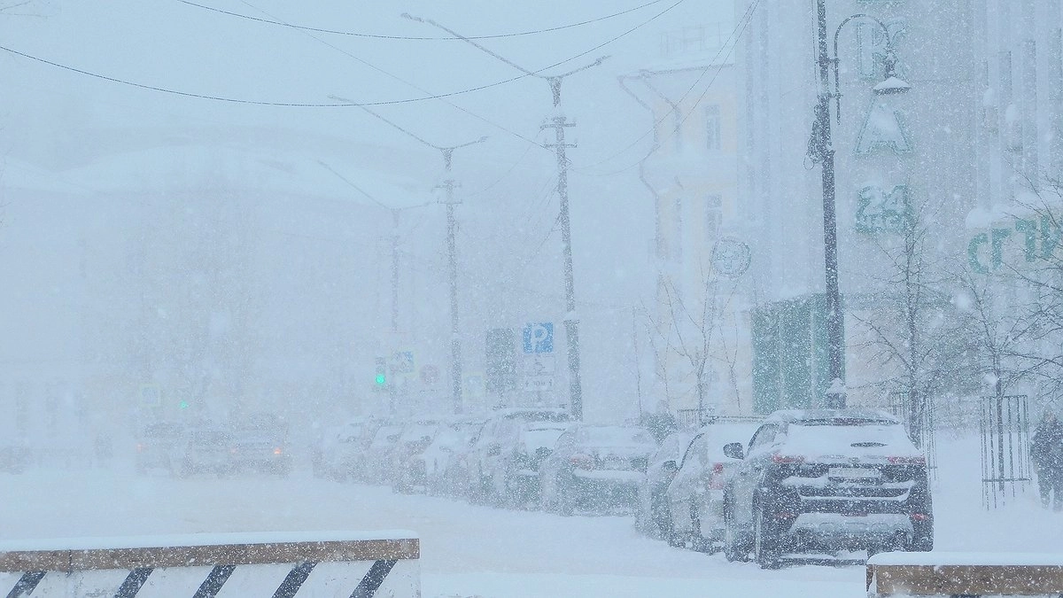 Главная картинка новости: В Республике Коми 1 марта ожидаются снегопады и морозы до минус 33 градусов