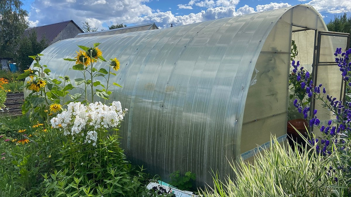 Главная картинка новости: Муж хочет поставить на участке огромную теплицу, а я против, ведь столько лет облагораживала нашу дачу