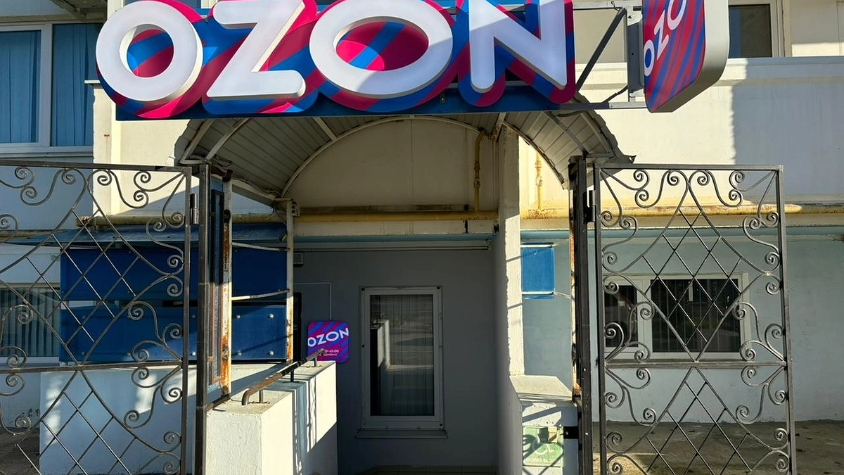 Главная картинка новости: Ozon Job - работа самозанятым через приложение на телефоне, какие итоги 4 смен