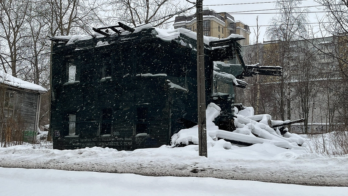 «Природа сделает невероятный сюрприз». Синоптики рассказали, к чему готовиться в апреле и мае