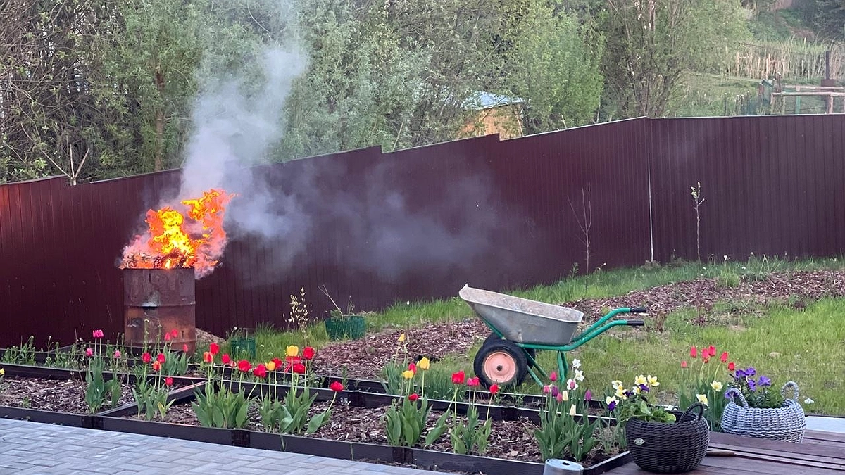 Главная картинка новости: Лайфхаки для дачников: 15 гениальных идей по применению ненужного хлама