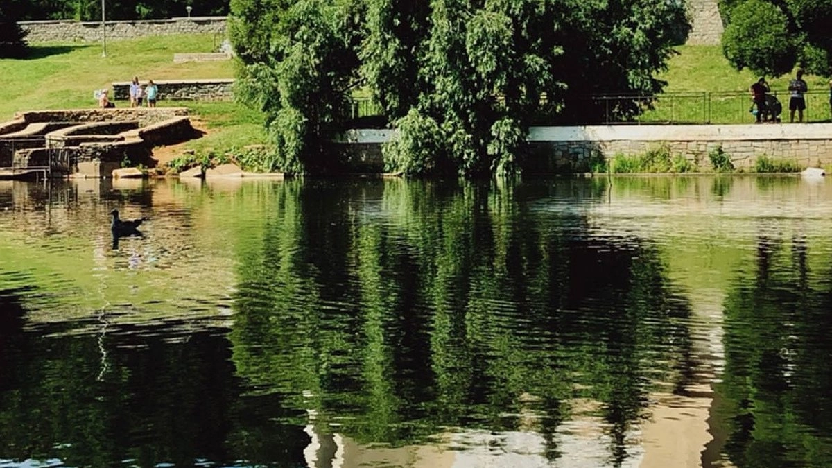 Главная картинка новости: Тепло, но с сюрпризами: чего ждать от погоды в Коми в последний день июня