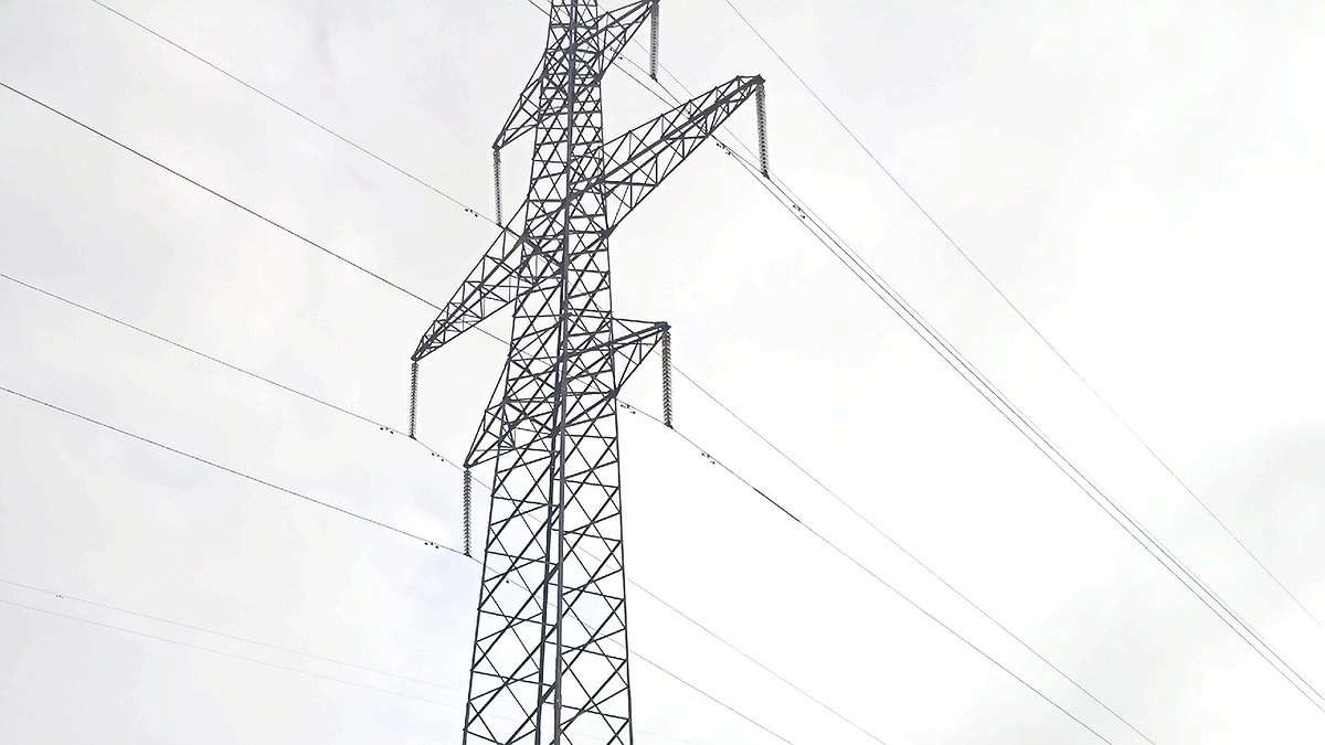 Главная картинка новости: В Усинске группе из пяти человек потребовалось полмесяца, чтобы срезать 82 метра кабеля