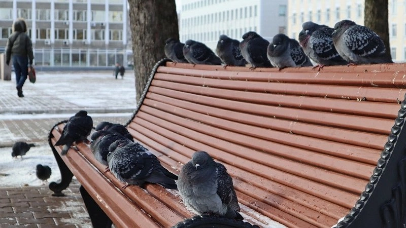 Главная картинка новости: Жара войдет резко и без стука: синоптики определили точные даты начала весны