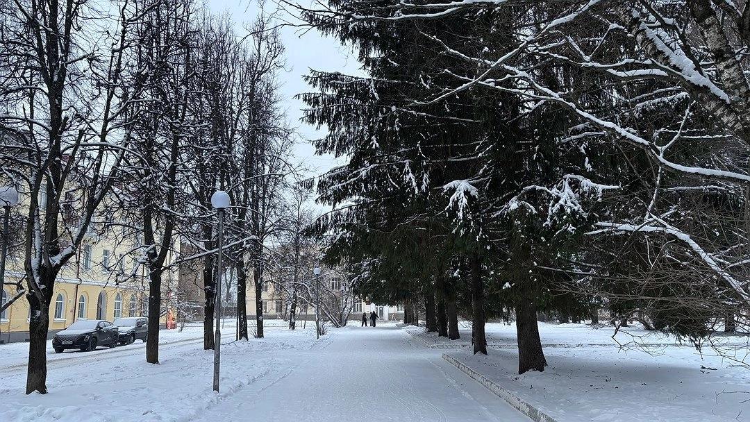 Главная картинка новости: Синоптики рассказали о погоде в Коми 30 декабря