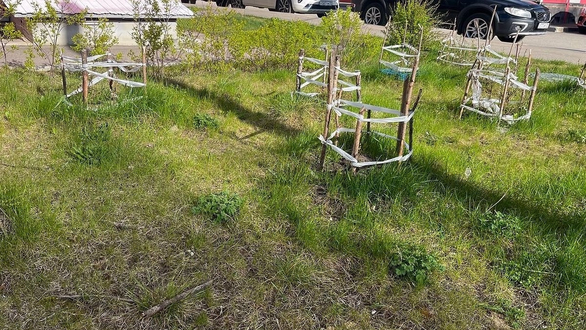 Главная картинка новости: Усинск встречает четверг весенним теплом после заморозков