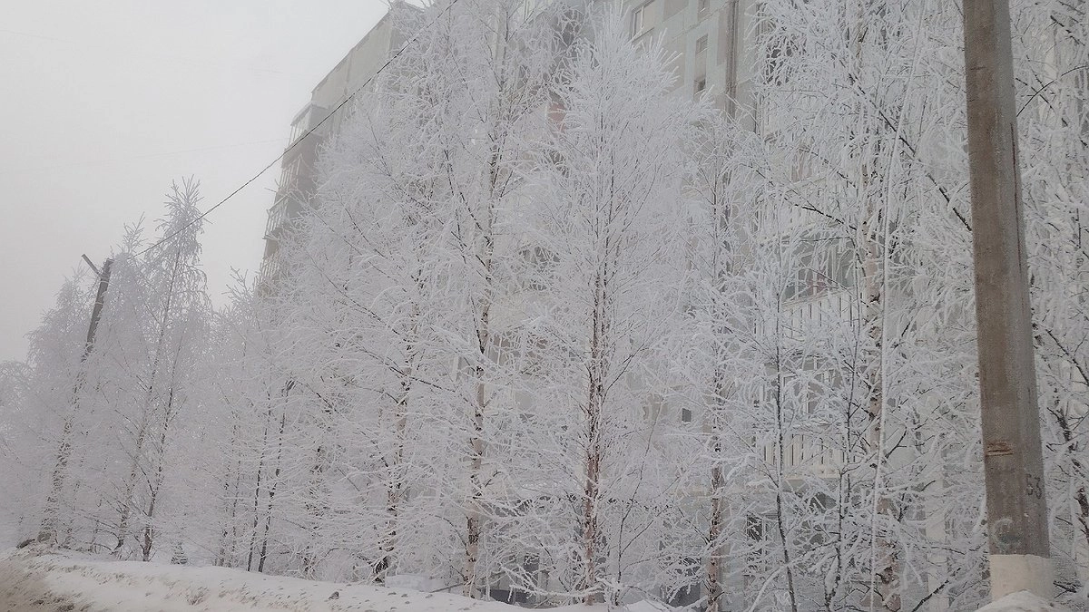 Главная картинка новости: Усинск встречает день морозом, но без осадков