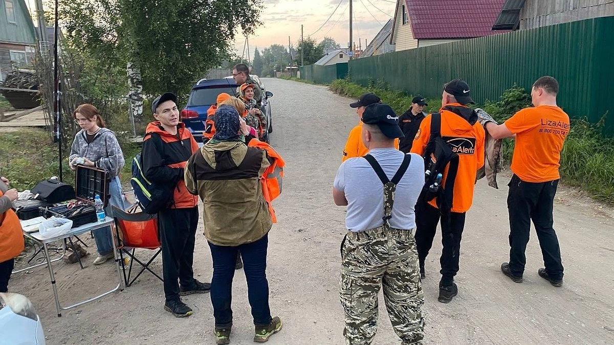 В Коми добровольцы нашли в овраге 89-летнюю женщину