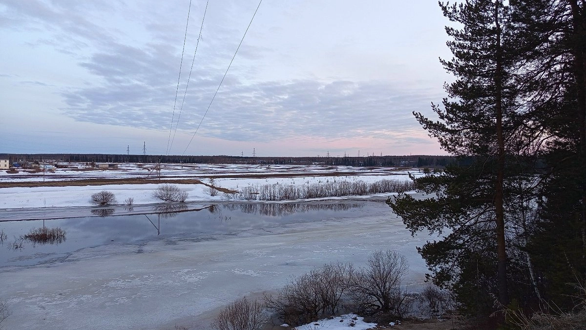 Главная картинка новости: Тело пропавшего четыре года назад снегоходчиха обнаружили в Коми