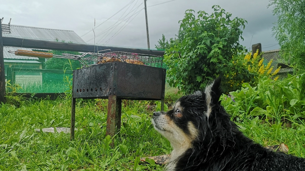 Главная картинка новости: Отдохнуть не получится: Минтруд переносит майские каникулы - выходные изменили из-за непредвиденной ситуации