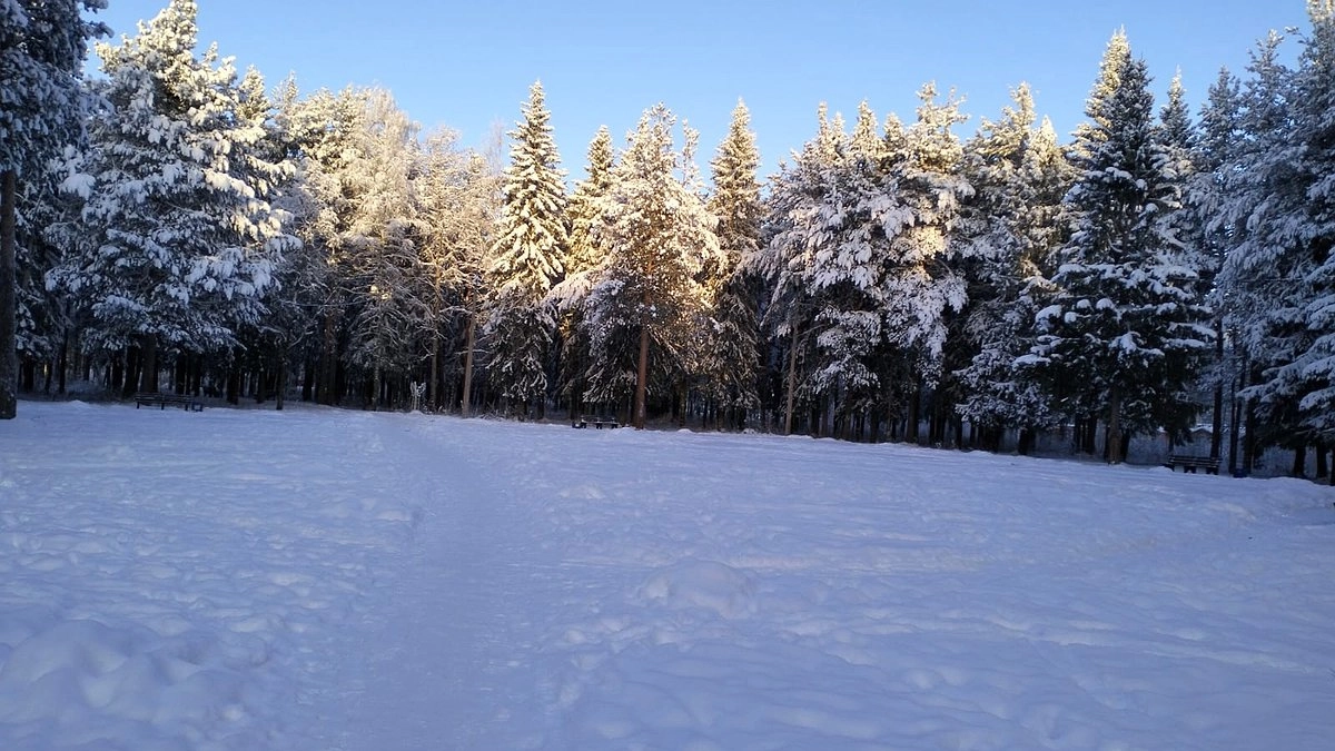 Главная картинка новости: «Январь обещает быть аномальным». Синоптики сказали, к чему готовиться