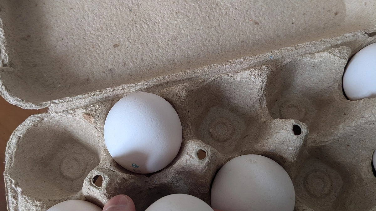 Главная картинка новости: Куриные яйца не покупаю уже год: от этих 9 продуктов рекомендуют отказаться ученые. А мы их едим каждый день и детям даем