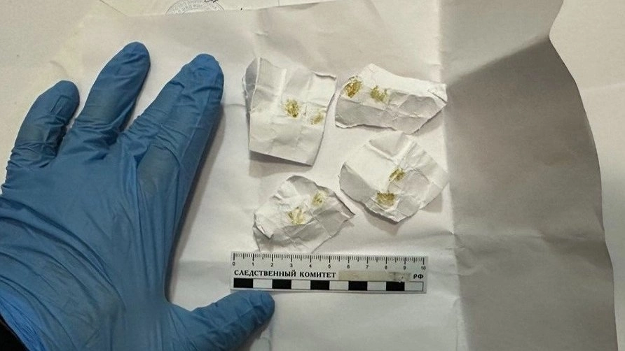 В Коми суд отправил двух молодых людей в колонию за сбыт запрещённых веществ