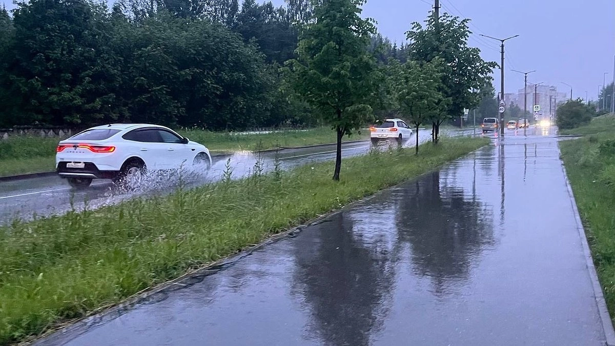 В Коми полицейские возбудили уголовное дело против женщины за повторную пьяную езду