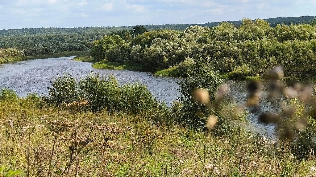 Главная картинка новости: Округ в Коми заплатит миллионы за загрязнение реки