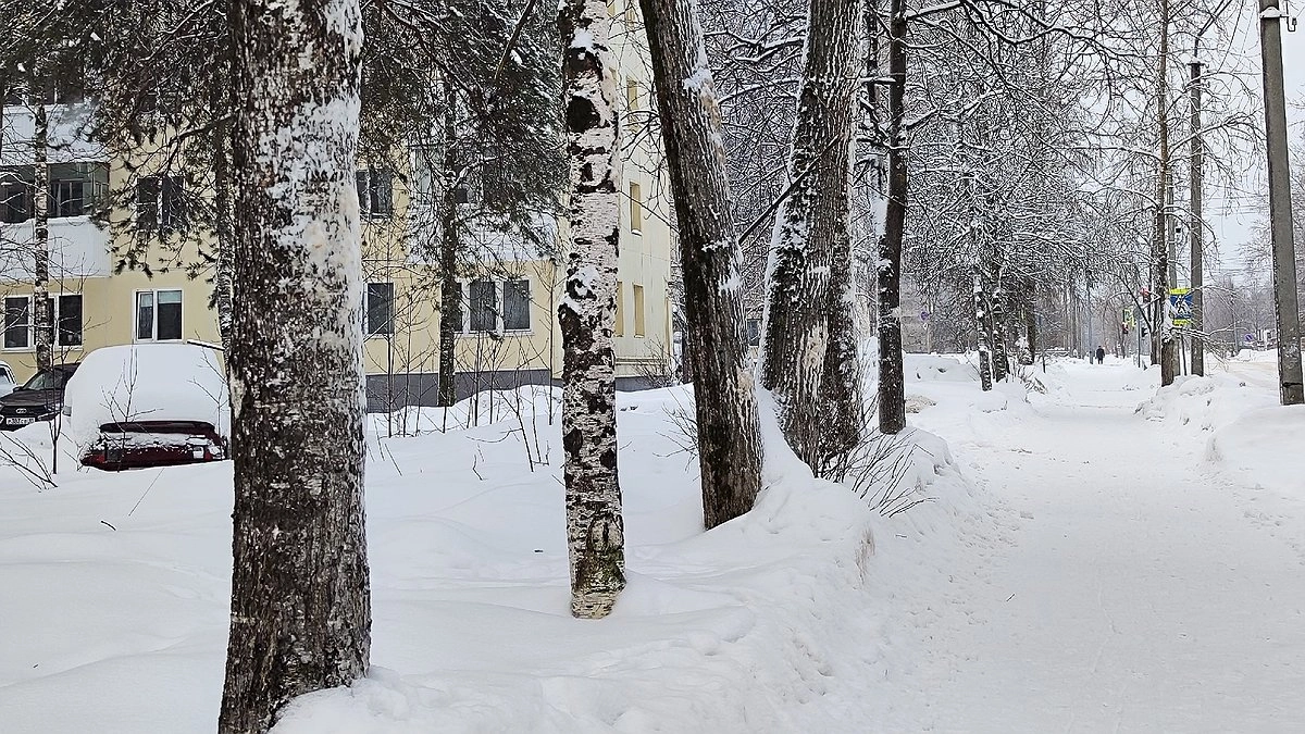 Главная картинка новости: «Это будет мощнее мороза»: синоптики огорошили страну — нас ждут новые аномалии