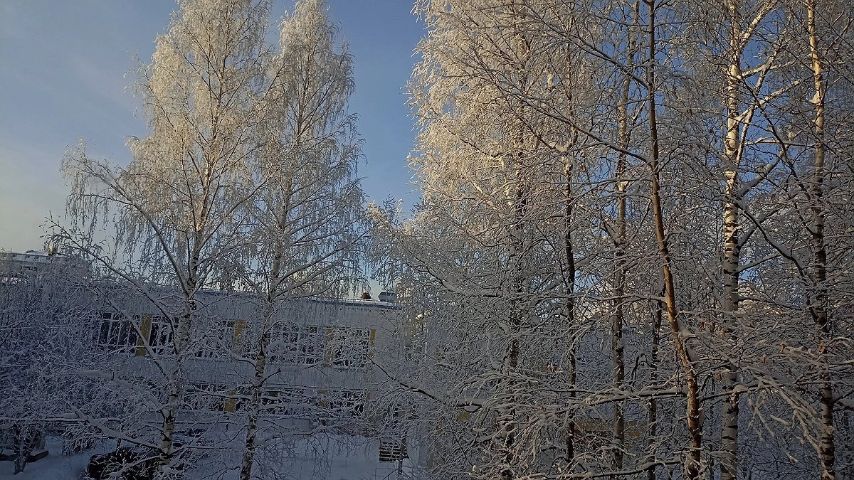 Тепло до марта и минус 40 по всей стране: синоптики обещают аномальную зиму 2024-2025