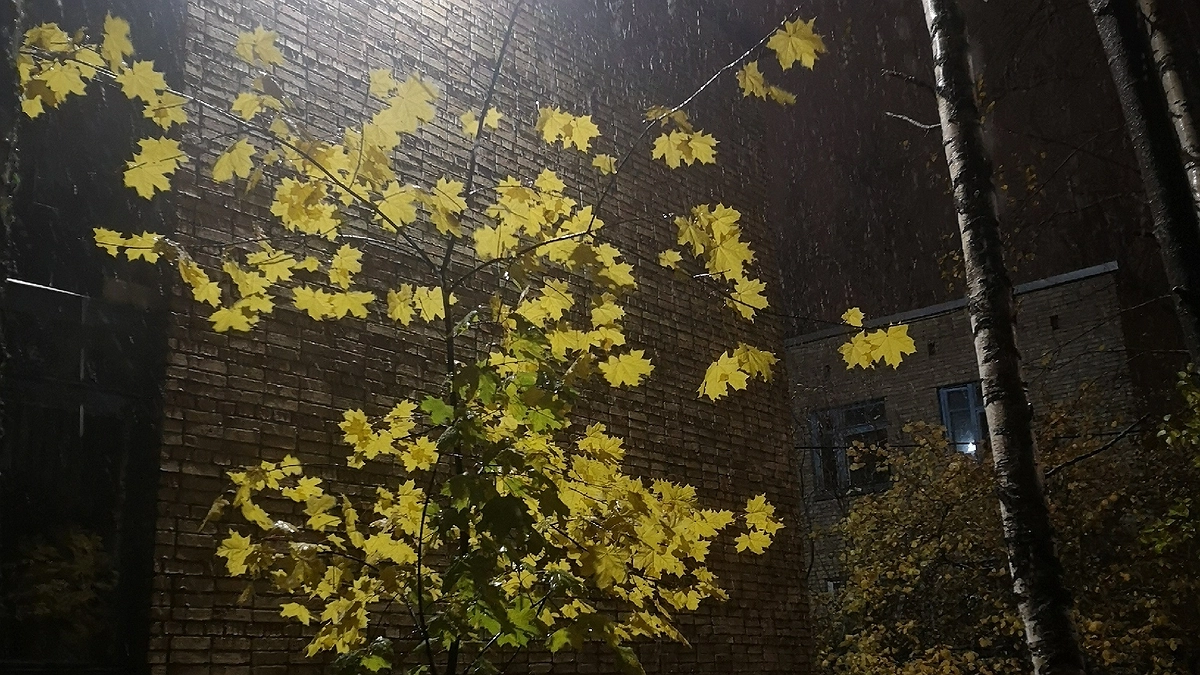 Главная картинка новости: Холода возвращаются: Гидрометцентр сообщает о морозах и мокром снеге с 9 июля