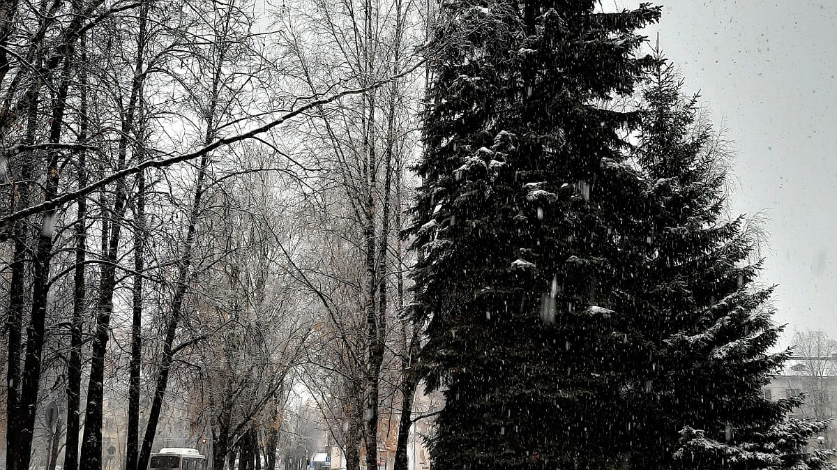 Главная картинка новости: "Температура рухнет больше чем на 20 градусов": Вильфанд дал обновленный прогноз