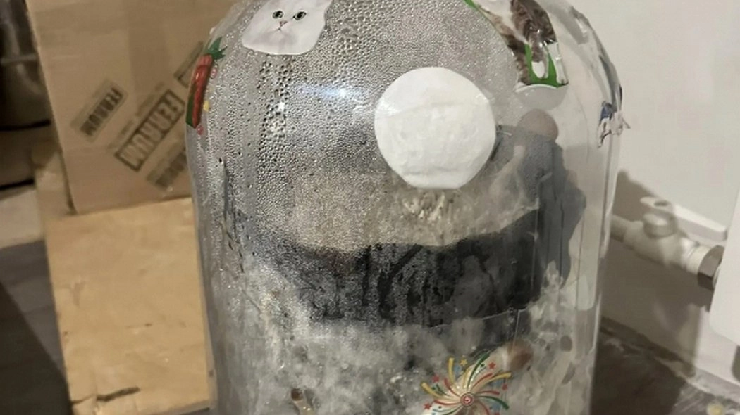 В Коми полиция пресекла работу «квартирной фермы» с запрещёнными веществами