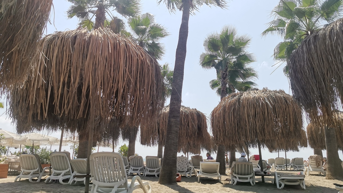 Главная картинка новости: Египет уже в пролёте, «распробовала» новый курорт: море в 2 раза дешевле - собираем чемоданы и летим в апреле