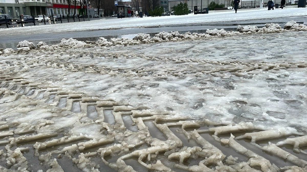 Главная картинка новости: Погода в Коми 12 марта будет ветреной и с осадками