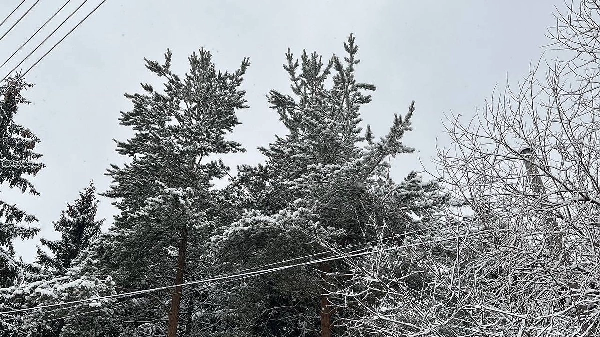 Главная картинка новости: В Коми 2 декабря пройдут осадки разного характера