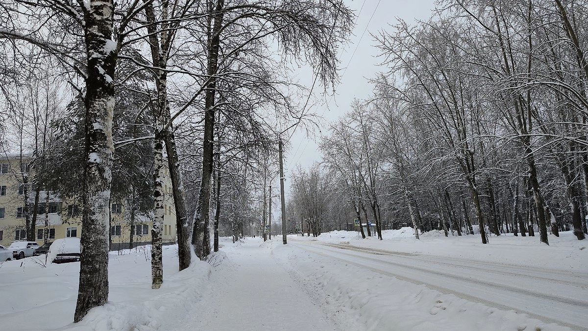 Коми дорожная компания подвела итоги участия в нацпроекте "Производительность труда"